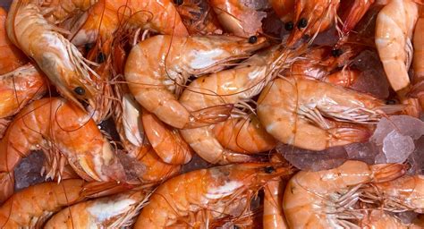 Pars american insurance is a destination for consumers to learn more about available insurance products and be matched. Barbecued Prawns with Lemon, Parsley and Garlic - National Seniors Travel