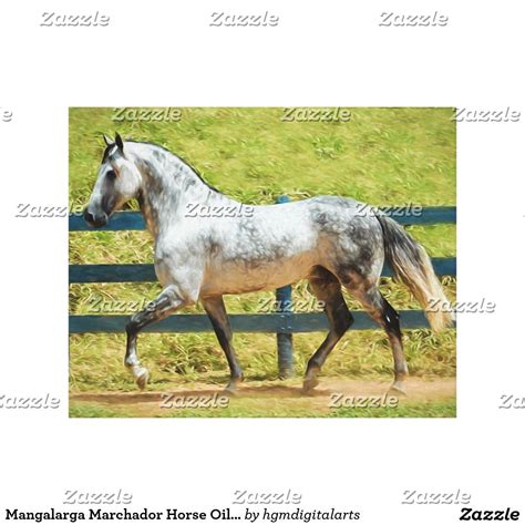 Mangalarga Marchador Horse Oil Painting on Canvas | Canvas art prints, Canvas art, Canvas