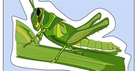 Maybe you would like to learn more about one of these? grasshopper life cycle - Google Slides
