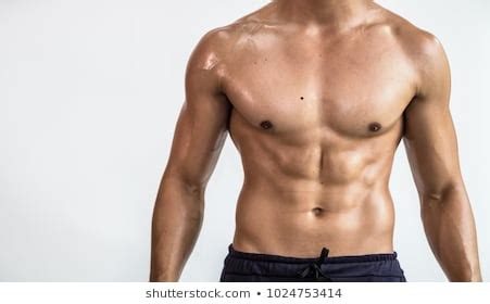 Human muscle system, the muscles of the human body that work the skeletal system, that are under voluntary author of human evolution and evolution of early man. Chest Anatomy Images, Stock Photos & Vectors | Shutterstock