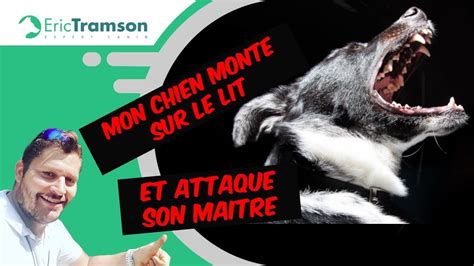 Vidéos zoophilie extreme, en ce moment: Elle Aime Le Sperme De Chien - Chien Nouvelles