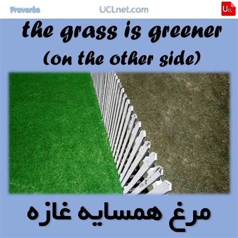 See full list on theidioms.com ضرب المثل "مرغ همسایه غازه" در زبان انگلیسی | Proverbs, Garden tools, The other side