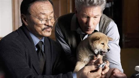 Sure, you know the story, and have probably seen the movie, but you can relive your childhood for a little more than an hour by rewatching it. 10 best dog movies on Amazon Prime Video, Netflix, Disney+ ...