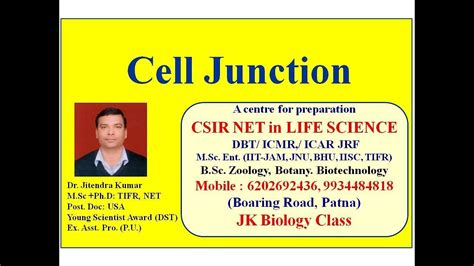 Cancer cells lack gap junctions, disabling the cells from communication. Cell junction: Tight Junctions, Gap junction ...