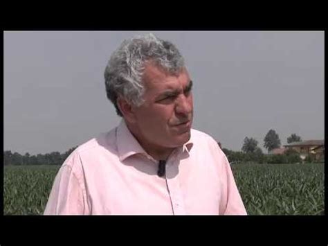 Nella coltivazione dei cereali, possono considerarsi conservative quelle lavorazioni del terreno che conservano in superficie tutti i residui colturali della. Agricoltura Conservativa: cos'è? - YouTube