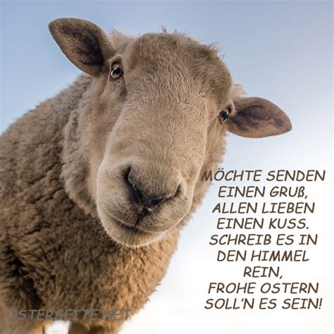10 schöne ideen ostergrüße schreiben: Ostergrüße - lustige Texte und Bilder