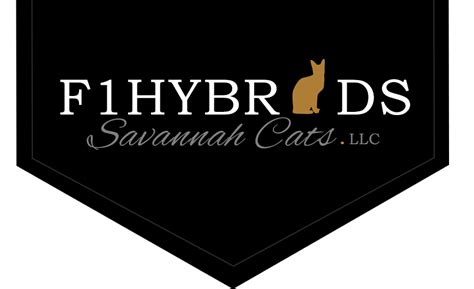 The savannah is a hybrid cat breed. Savannah Cat - Size,Diet,Temperament,Price.