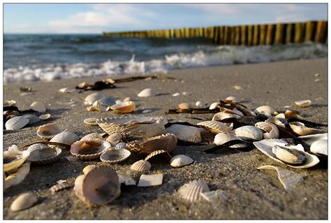 Wenn es eine eigentümergemeinschaft ist, entscheidet diese. 1, 2, 3...viele Muscheln... Foto & Bild | landschaft, meer ...