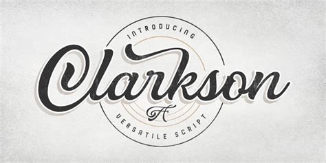 But that's not all they are great for, no matter what type of site you are building, they can be used to lighten the mood on particular section such as graphics, banners etc. Clarkson Script - Kreativ Font