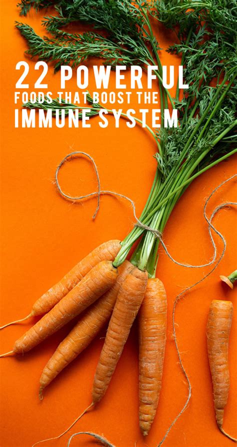 With some exceptions, it's best to get your vitamins and minerals from your food rather than in pill form. 22 Powerful Foods That Boost The Immune System I Take You ...