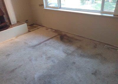 The carpet in your home acts as its very own filter, and a large filter at that. Shine Carpet Cleaning - Best Carpet Cleaning Maple Ridge ...