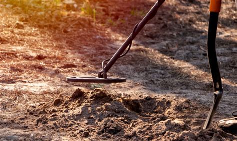 10 de marzo de 2021. Un hombre escanea un agujero excavado en el bosque con un ...