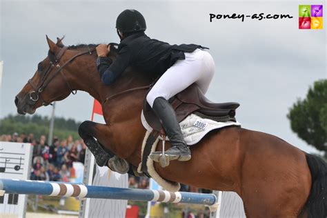 Sigue el calendario de la temporada de tenis hombres 2021. Generali Open de France Poney 2016 - Dimanche - Poney As