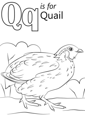 Have the child decorate each of the four pieces (you can use paint, sparkle glue, stamps, stickers, crayons, feathers, etc). Letter Q is for Quail coloring page | Free Printable ...