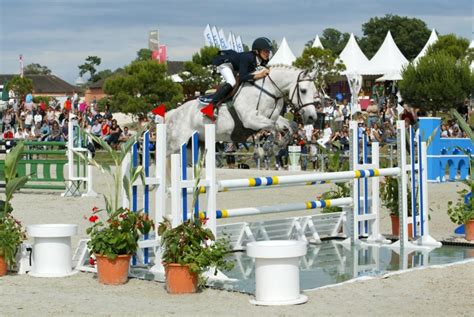 Regardez la diffusion en direct en ligne championnat d'europe (12.06.21). Championnats d'Europe Poneys à Moorsele (BEL) / Actualités ...