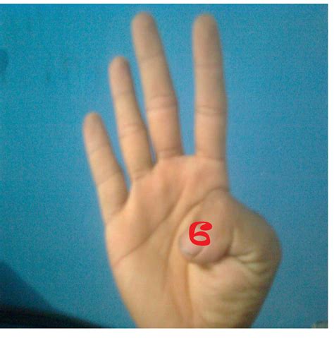 Jumlah huruf `arab aslinya sebanyak 29 huruf. Terbaru 27+ Gambar Tangan Angka 1 - Gani Gambar