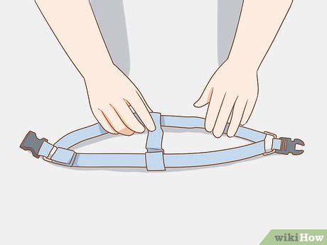 Jun 04, 2020 · follow these steps to put on your cat's walking harness: 3 Ways to Put on a Dog Harness - wikiHow
