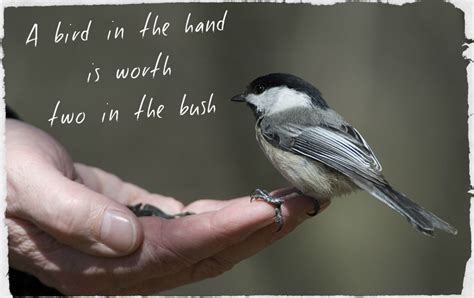 It is not clear when exactly. A BIRD IN THE HAND IS WORTH TWO IN THE BUSH - Meaning: It ...