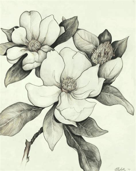 Magnolia tree, birdandflower painting, chinese. Magnolia sketch | Tattoo- Style | Pinterest