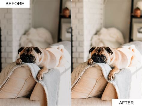 Adds some special atmosphere to your images. 5 MOBILE Lightroom Presets LIGHT AIRY Light Airy Tones ...