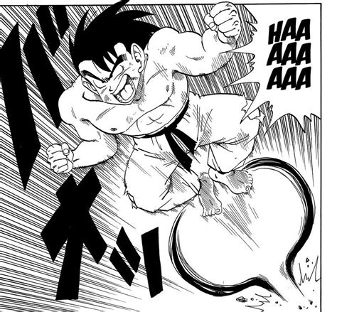 Doragon bōru) is a japanese manga series written and illustrated by akira toriyama. Goku's Fight - Dragon Ball Wiki