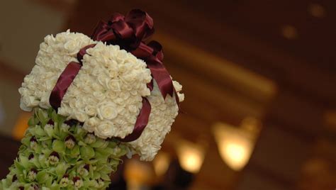 Maybe you would like to learn more about one of these? Surprise Florist | Flower Delivery by Flowers With Flair