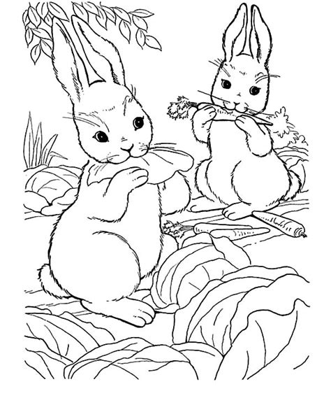 African animals printouts of many african animals. Rabbits Eating Carrot On Farm Animal Coloring Page : Kids Play Color