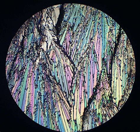 But it's a matter of perspective, and some technical ingenuity. Converting a LOMO binocular microscope to a binocular.