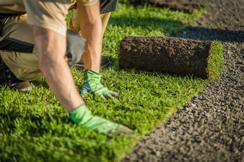 It's easy when you know why your lawn has gotten lumpy and how to fix it. The Dos and Don'ts of Returfing | The Garden Men