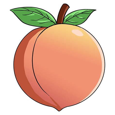 The peach fruit consists of two halves. Cách vẽ một quả đào - Vẽ.vn