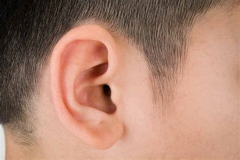 The hair just inside your ear works with earwax to keep dirt and debris away from. All You Need to Know About Ear Hair Removal (Ultimate 2019 ...