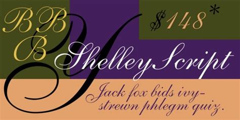 All rights reserved.palace script is a trademark of the monotype corporation plc registered in certain countries. Shelley Script® font download | Script fonts, Script ...