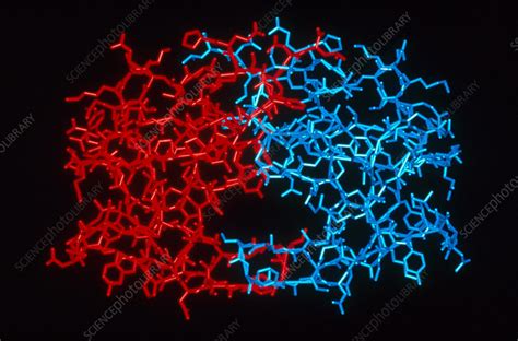 Protease a protease is any enzyme that conducts proteolysis, that is, begins protein catabolism by hydrolysis of the peptide bonds that link amino acids. Protease Inhibitor - Stock Image - C007/5407 - Science ...