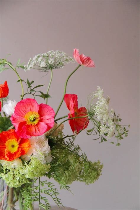 ⬇ bouquet de fleurs sauvages avec du blé, du pavot et de la marguerite aux yeux de bœuf isolés sur du blanc. Des bouquets pour décorer | Bouquet de coquelicots, Fleur de pavot et Fleur amour