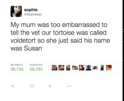 Here goes our list of short funny jokes that'll definitely make you laugh. 23 Pics That'll Make You Laugh - Funny Gallery | eBaum's World