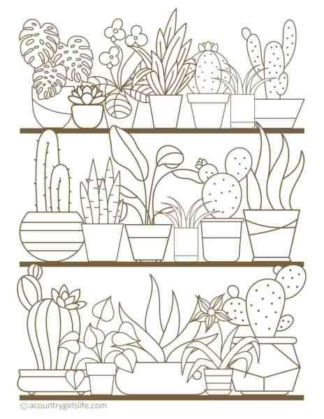 Succulent coloring page best succulent cactus coloring books pages cleverpedia. Free Printable Coloring Pages for Adults in Florals and ...