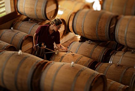 Domaine de la solitude : Domaine Domaine de la Solitude - Bordeaux