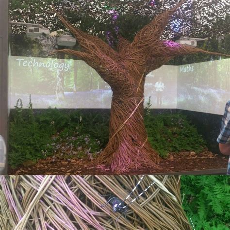 Get directions, reviews and information for the willow tree flowers & gifts in tulsa, ok. My willow Tree at the RHS Chelsea Flower Show 2017 ...