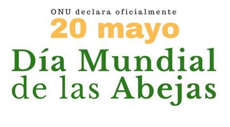 El 20 de mayo se celebra el día mundial de las abejas para crear conciencia sobre la importancia de los polinizadores, las amenazas a las que se enfrentan y. Día Mundial de las abejas, 20 de mayo: tan pequeñas y tan ...