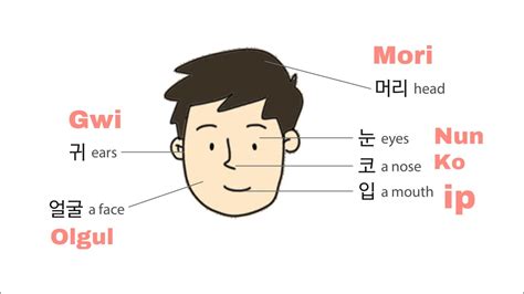 This korean hand gesture is relatively new in korea and to make this hand gesture is very easy. Body Parts in Korean Language (EPS-TOPIK / KLT Lesson 26a ...
