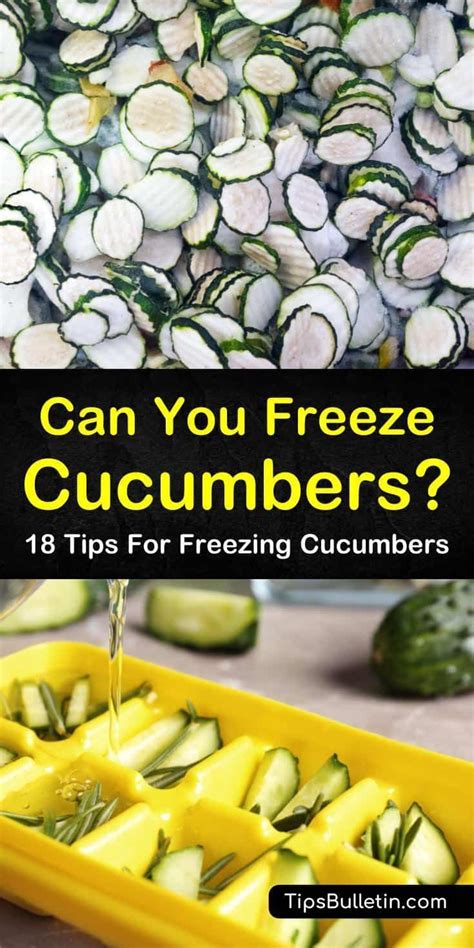 Make sure to leave some space so the juice can expand when it freezes. Can You Freeze Cucumbers? in 2020 | Freezing cucumbers ...