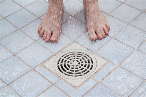 Our drain cleaning services include floor drains, downspout drains, storm drains, sewer drains, and more. 9 Common Causes of Clogged Drains and Solutions | Tips ...