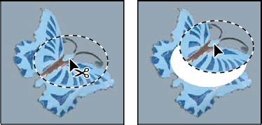 Move, copy, and delete selected pixels in Photoshop