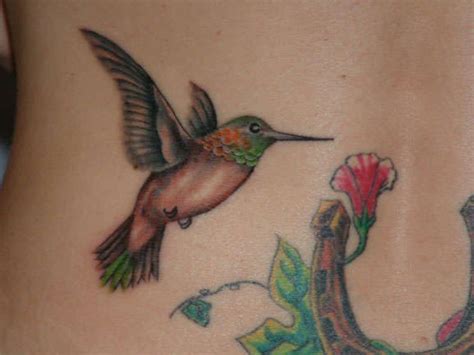 Realistic, detailed and beautifully colored, this tattoo truly looks like a painting. Realistic Hummingbird Drawings Rufous hummingbird tattoo ...