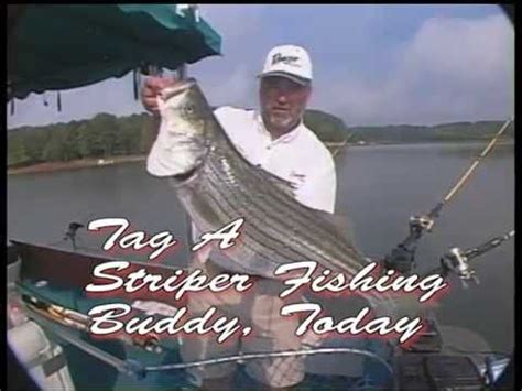 The lake reached its present capacity in 1962. Lake Hartwell Striper Catch - YouTube
