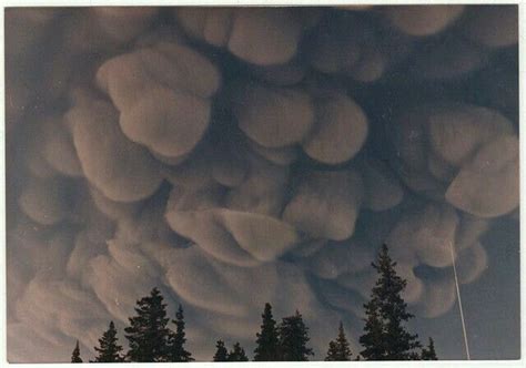 Mammatus wolken komen zelden voor. Clouds. | Mammatus clouds, Clouds, Atmospheric phenomenon