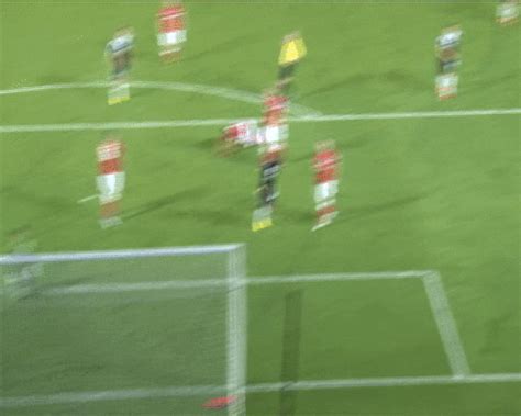 The best southampton fc memes and images of january 2021. Southampton GIFs - Find & Share on GIPHY