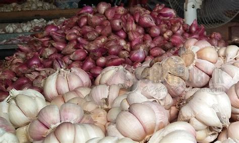 *harga di atas adalah harga beli pedagang di pasar induk. Harga Bawang Merah di Pasar Anum Turun | sorotpublik.com