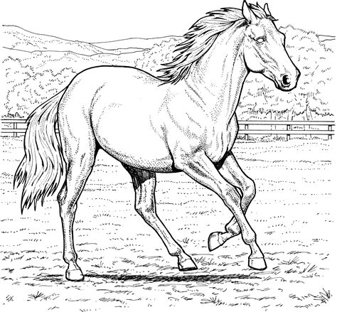 Pypus is now on the social networks, follow him and get latest free coloring pages and much more. Adorable Horse Coloring Pages - Coloring Pages For All ...