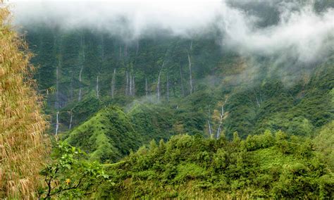 Ntaa), is the international airport of french polynesia. Tahiti Island Information and Travel Guide | Tahiti.com